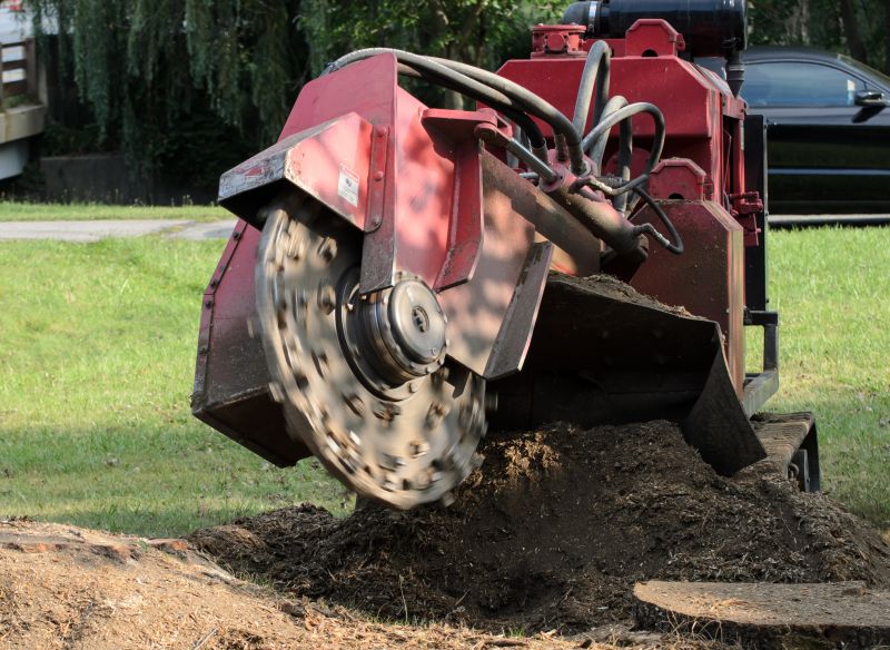 Stump Grinding