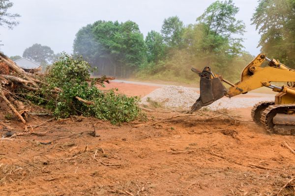Ground Clearing in Glen Burnie