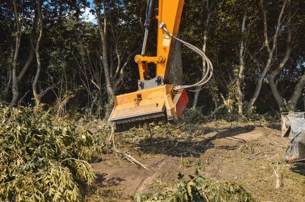 Brush Removal Service in Glen Burnie