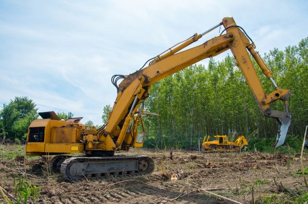 Farm Clearing in Glen Burnie