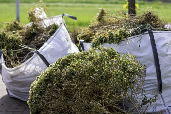 Cost of Bushes Clearing in Glen Burnie