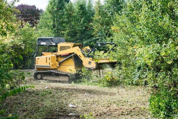 Pathway Clearing in Glen Burnie