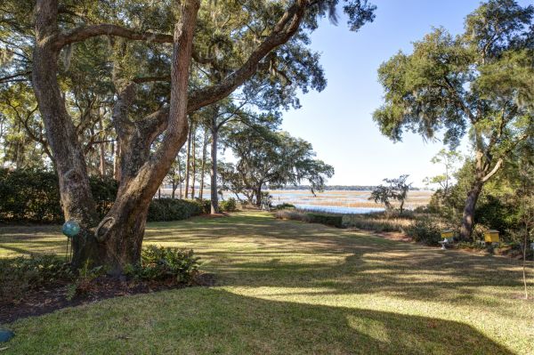 Lakefront Property Clearing in Glen Burnie