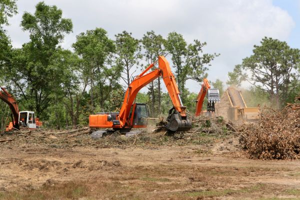 Commercial Lot Clearing in Glen Burnie